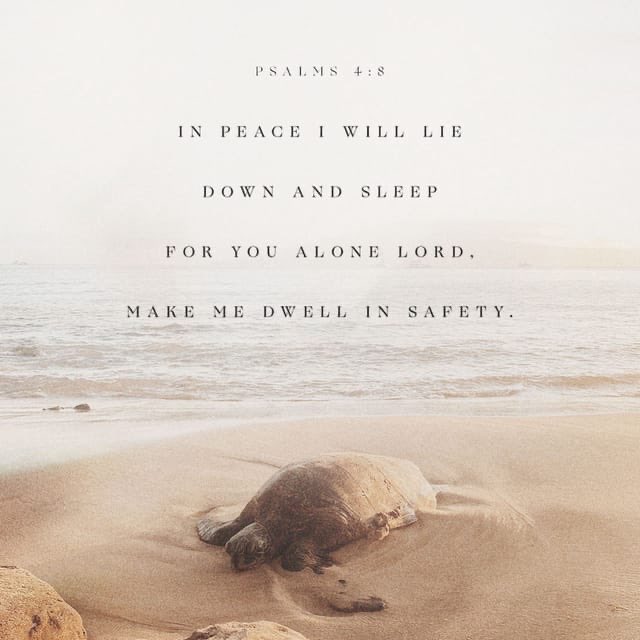 UcheChikwend's tweet photo. When the Prince of peace is your Lord and Saviour, your peace of mind is guaranteed! “You will keep him in perfect peace, Whose mind is stayed on You, Because he trusts in You.” So says Prophet Isaiah 26:3. My heart is fixed trusting the Lord(Ps 112:7). https://t.co/eR0ga6B8ye https://t.co/3LUGe4Nm0V