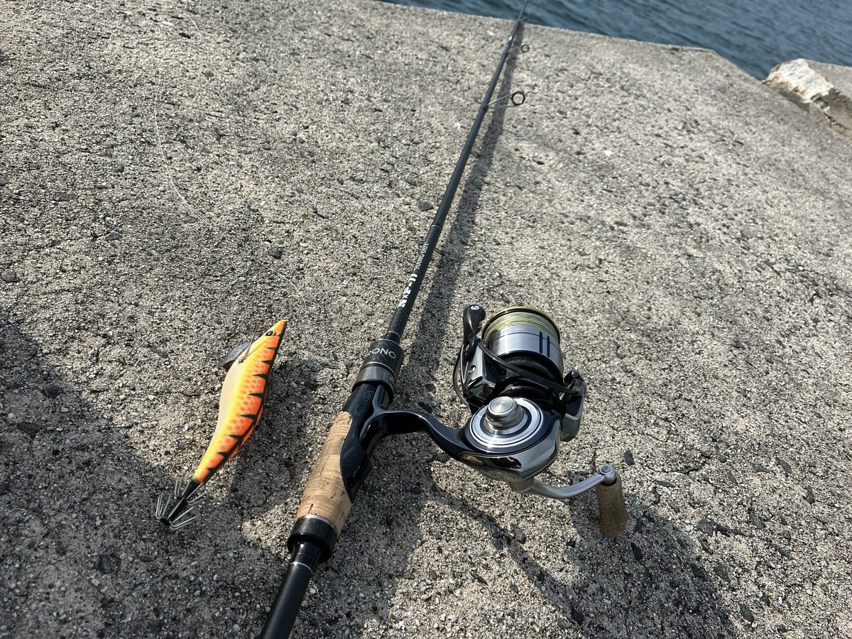 pine__book_'s tweet photo. アオリ釣ってなさすぎてヤバい😱 https://t.co/fwrQ1z1JKM
