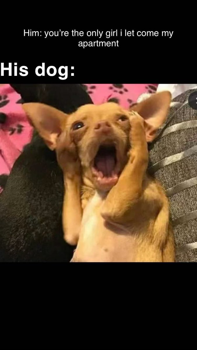 HIM: You’re the only girl I let you come my apartment