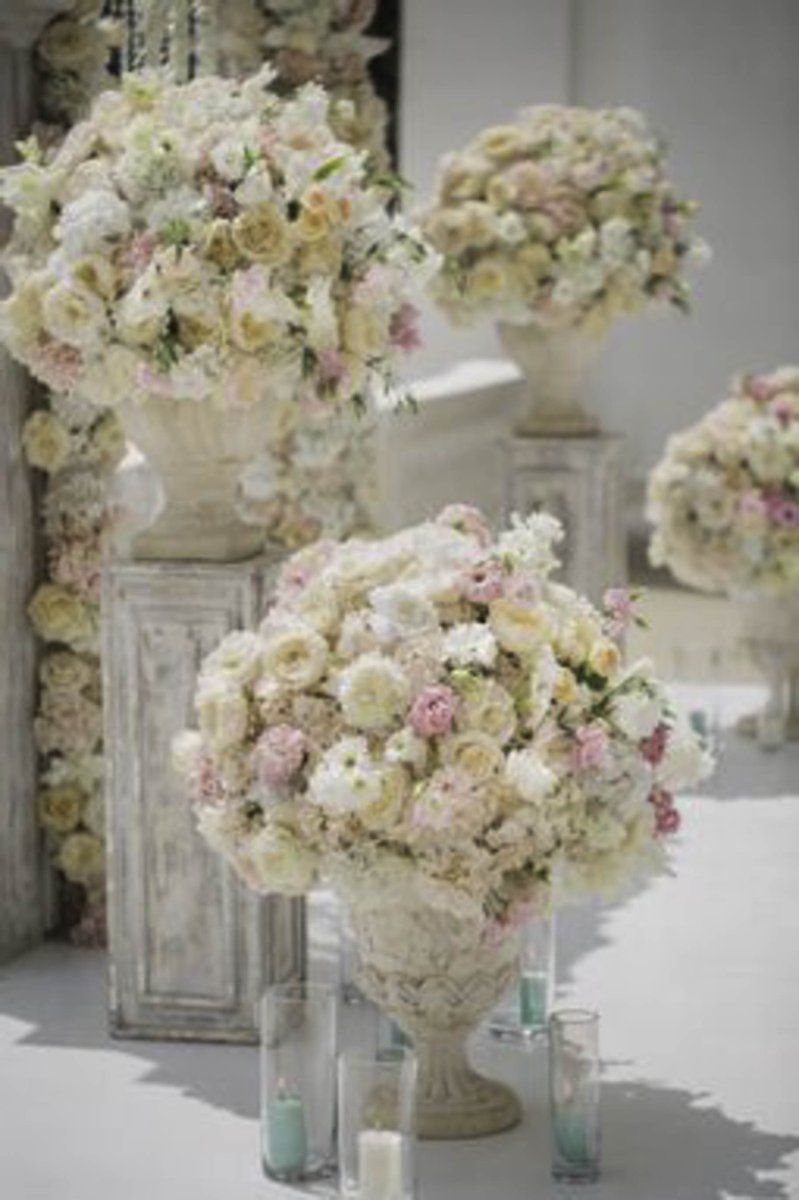 WhitewoodFlower's tweet photo. Visit our website to read up on our services such as Flower Shop, Event Florist, and Flower Delivery so you know who to call when you need it! #WhitewoodFlowers #WashingtonDC https://t.co/7woOjkarTo https://t.co/9ryfVovKSy