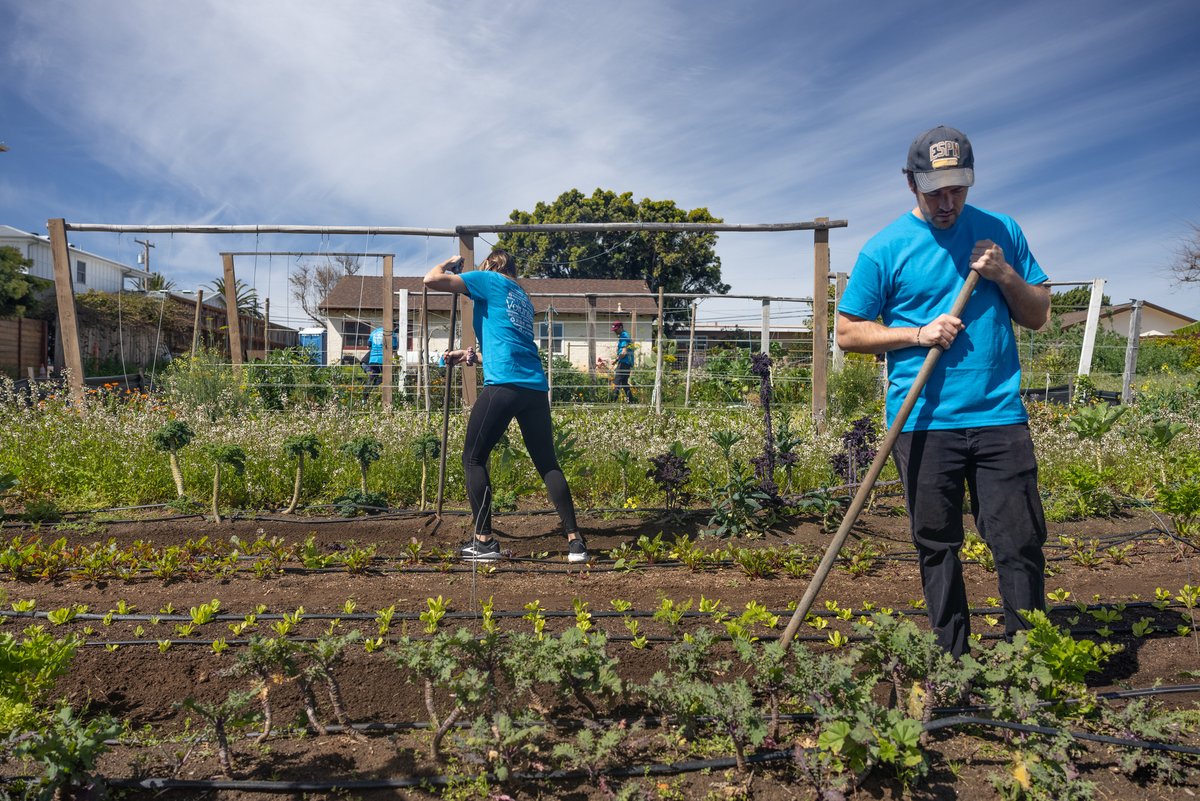 HP's tweet photo. The HP marketing team in San Diego teamed up with 1000 Tiny Farms for our #40DaysofDoingGood campaign to spend a morning learning farm tasks to support their gardens. The team had a blast making seed trays, planting, propagating, and harvesting! #NationalVolunteerWeek https://t.co/GhL4WvfLVy
