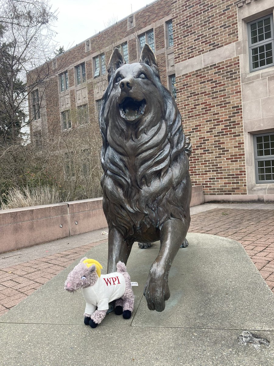 Apolonia1975's tweet photo. Many thanks @UW McNair Scholars Program for hosting the GEG Symposium and Graduate School Fair. @gompei enjoying his time with Harry the Husky and the amazing students and staff at UW. Heading back to @wpigradstudies but already looking forward to next year’s conference. #gograd https://t.co/i2htpTZnMa