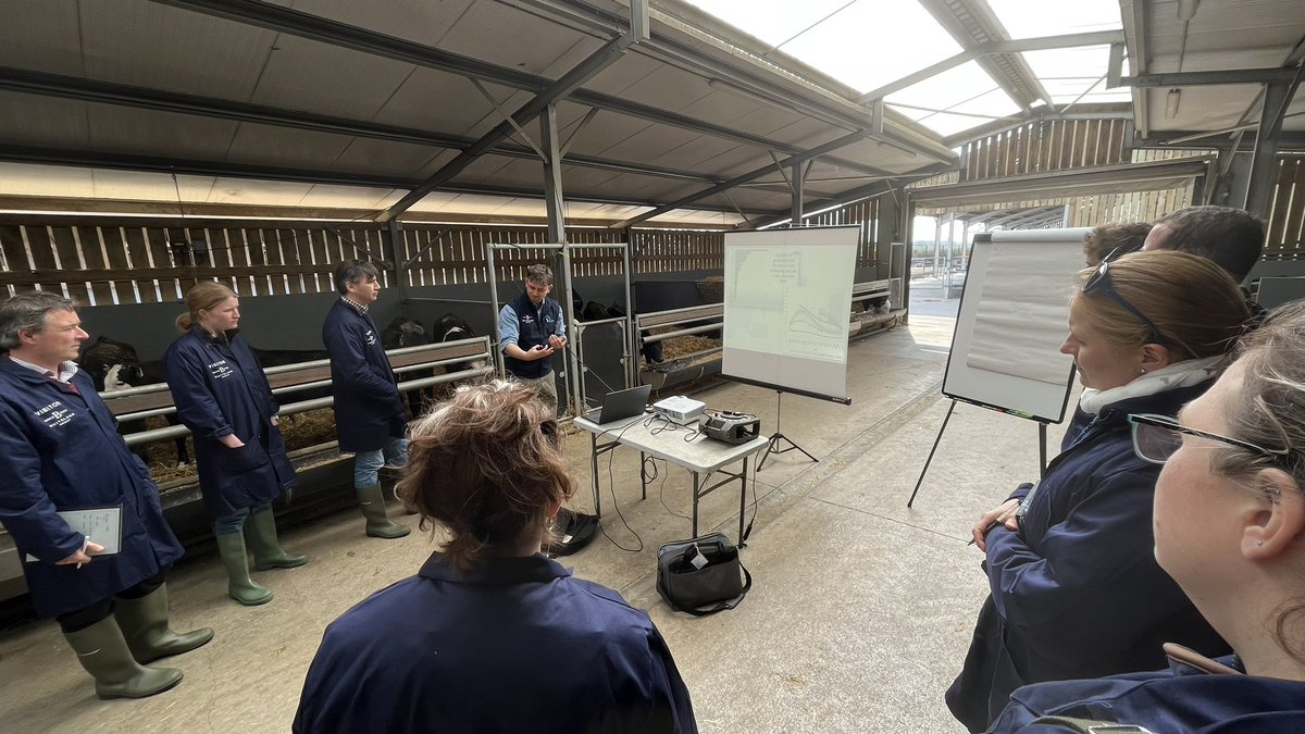 GarethEnticott's tweet photo. Interesting day @BuitelaarGroup and then a workshop as part of the @ROADMAP_H2020 calf rearing living lab https://t.co/hqJ5VbhXne