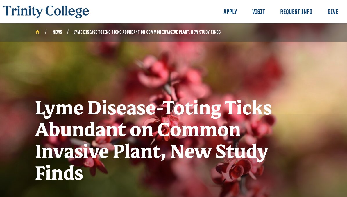 Lessen the chances of getting Lyme disease by eliminating this plant.  <a href="/TrinityCollege/">Trinity College</a> study by <a href="/DrAmberPitt/">Dr. Amber Pitt</a>. #ticks #LymeDisease