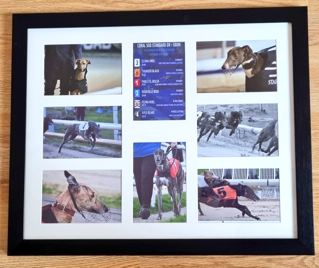 Greyhound Racing Weekly tweet media