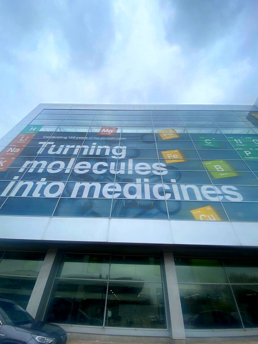 Ana-Maria Totea tweet media