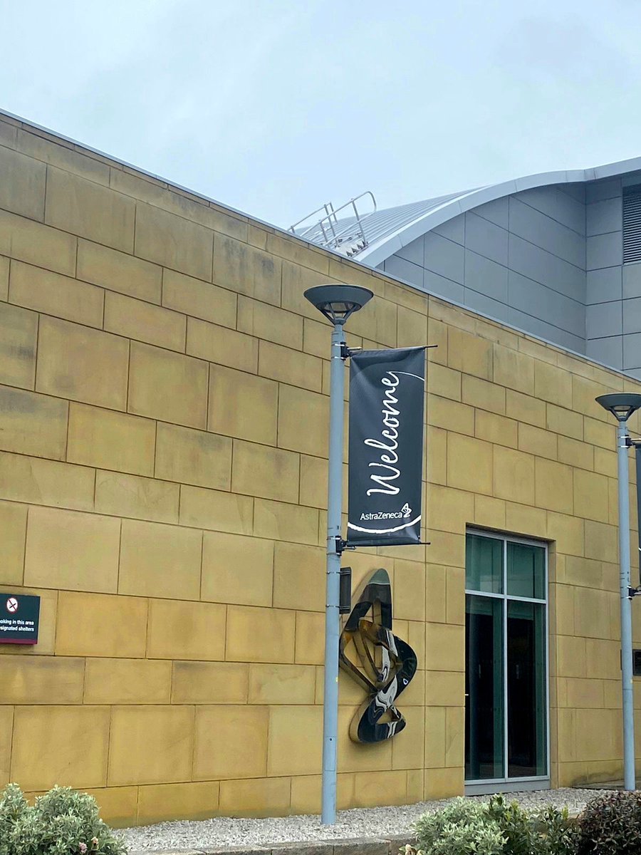 Ana-Maria Totea tweet media