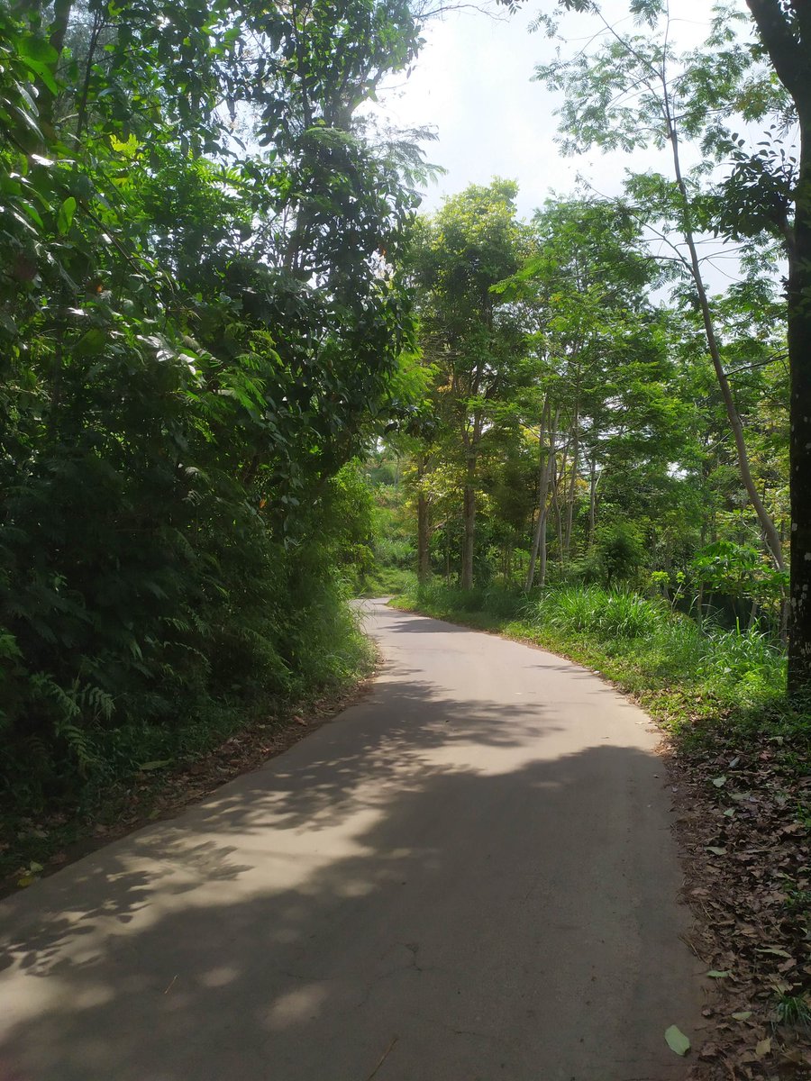 Dimanakah jalan, sementara hati berbisik sebaliknya