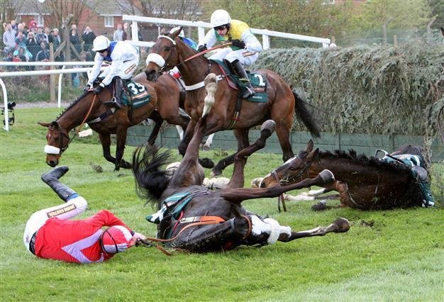 swamplady100's tweet image. Does this look humane 🤔??? That is only what I have available at the moment. Nothing in these pictures seems nice and wholesome. That is only what is caught on camera. Just imagine how much can't be caught because of the fact it happens so quickly. He loves horseracing I guess.