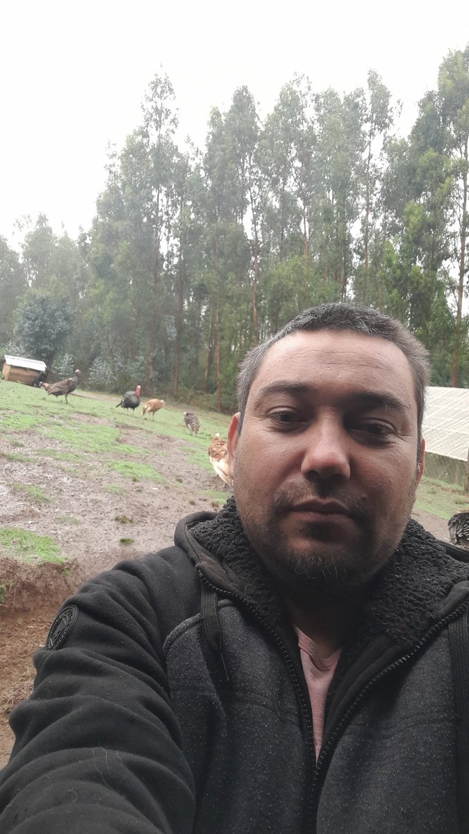 ismaelb39949396's tweet photo. Disfrutando la lluvia en el sur de Chile (tolten, IX region) https://t.co/PsnxLc58jn