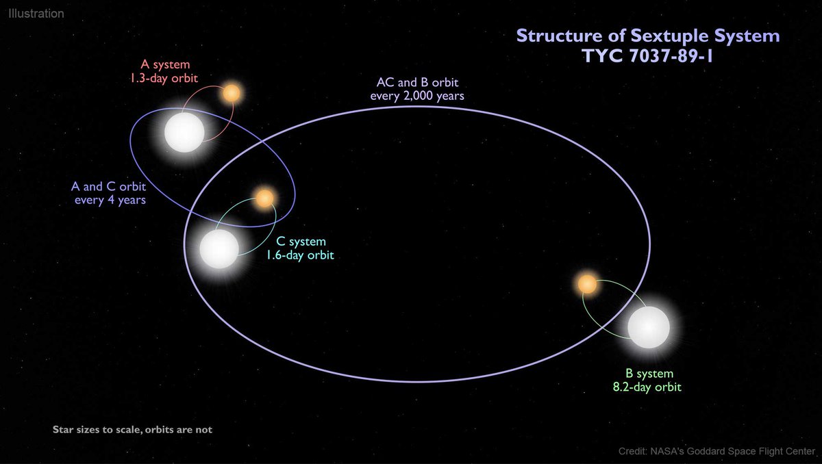 This diagram depicts six stars that interact with each other in complex orbits. The stars are arranged in pairs: Systems A, B, and C, are each shown with one larger white star and one smaller orange star. The two stars of System A, in the upper left, are connected by a red oval and labeled "1.3-day orbit." The two stars of System C, just below System A, are connected by a teal oval and labeled "1.6-day orbit." These two systems orbit each other, shown as a larger blue oval connecting the two and labeled "A and C orbit every 4 years." In the bottom right of the image, the two stars of System B are connected by a green oval and labeled "8.2-day orbit." System B orbits the combined AC system, shown as a very large lilac oval labeled "AC and B orbit every 2,000 years." A caption at the bottom of the image notes, "Star sizes are to scale, orbits are not." The image is watermarked with “Illustration” and “Credit: NASA's Goddard Space Flight Center.”