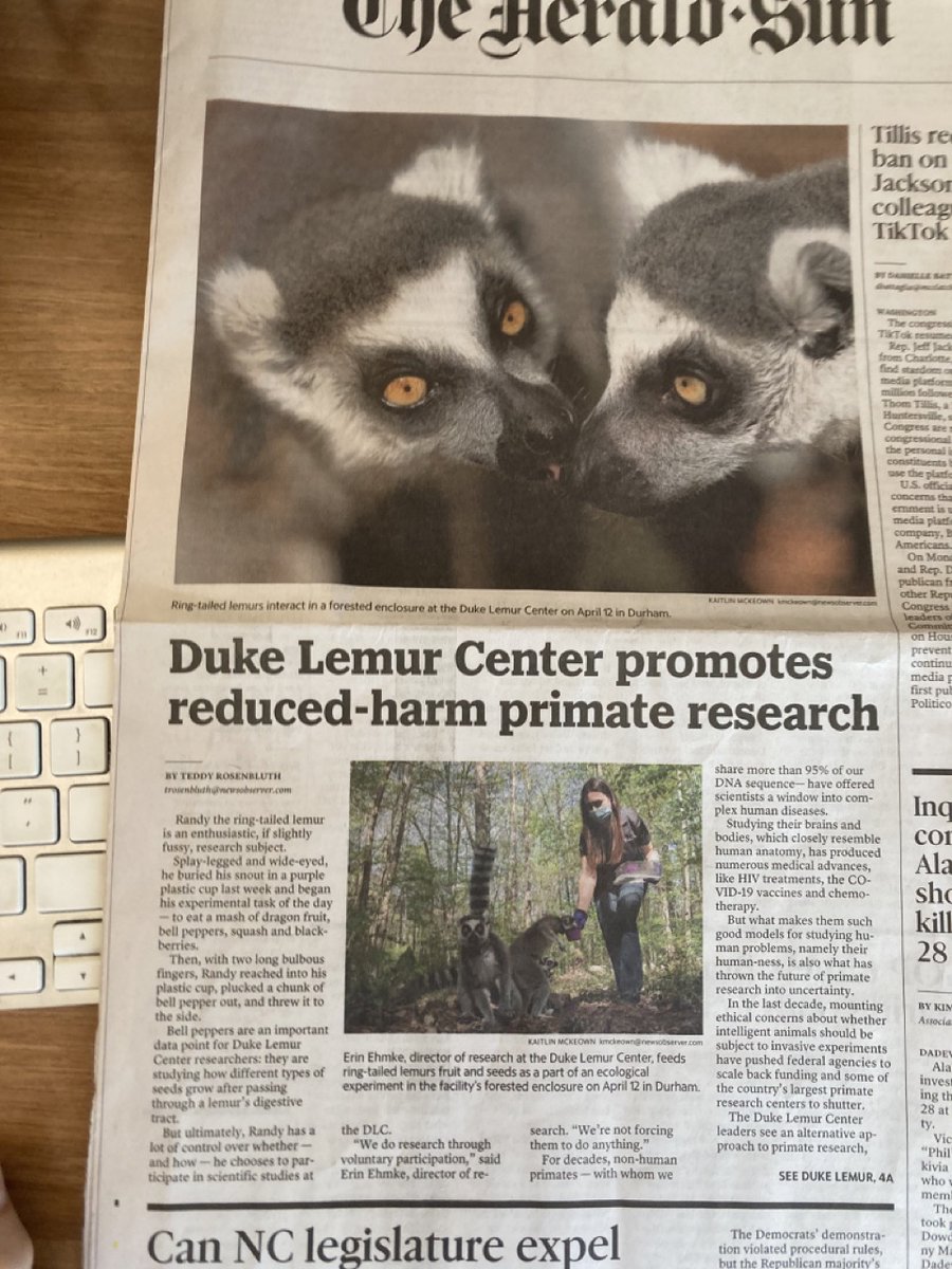goguevara's tweet photo. 😍Just saw this in the print paper - you and Erin and Randy are famous! @DukeLemurCenter #CreativeResearch #TeamLem https://t.co/BgHmcJmqhE