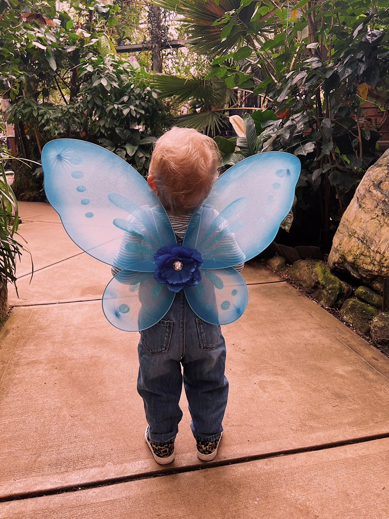 toricusimano's tweet photo. Every time I look at Reese, I can’t help but think she was a parting gift from my Neena. 

Man do I miss that woman dearly 🦋 https://t.co/nMOjwLu9DE
