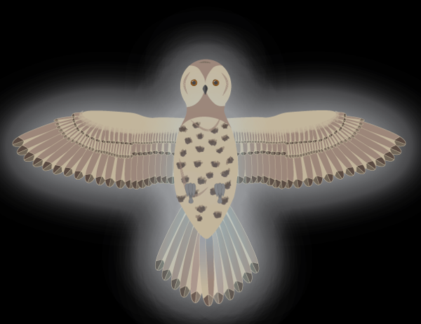 "Owl of Destiny" #NFT