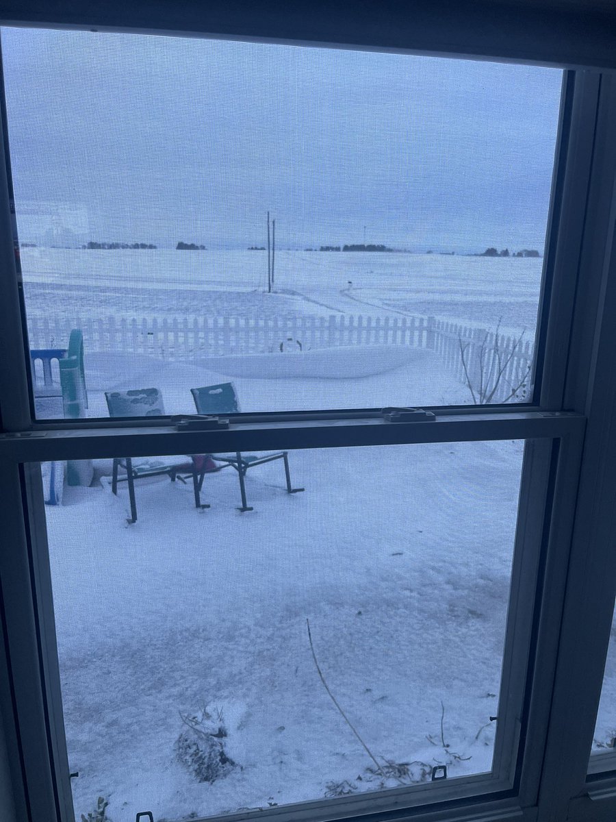 Loran Steinlage tweet media