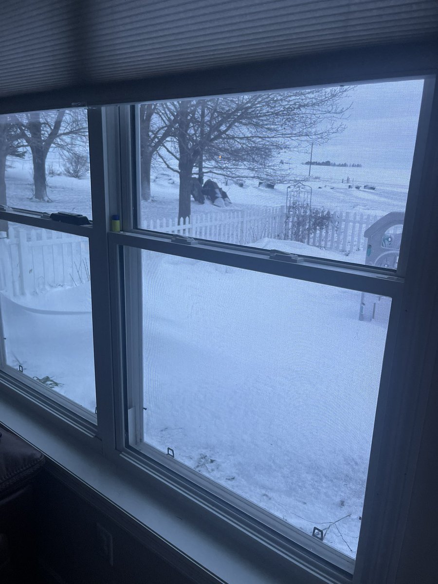 Loran Steinlage tweet media