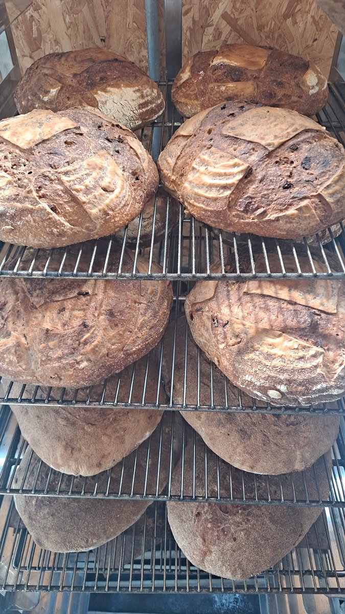 OMBExeter's tweet photo. Racks of bread coming out of the rofco ๐คฉ
My subscribers loaves using a delicious fig, spelt, and pumpkin seed flour from @ShiptonMill โค๐
#microbakery #Exeter #Devon #devonfoodhour #devonfooddrink #DevonFoodArmy #sourdough #bread #realbread https://t.co/Ub6oBeeCR1