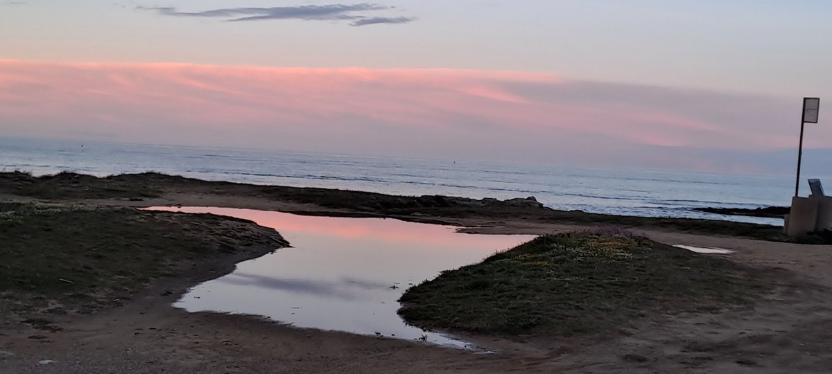 laPattiusca's tweet photo. Riflessi
#puglia #salento #lecce #sanfoca #tramonti #Mare https://t.co/EJJtRSfU1B
