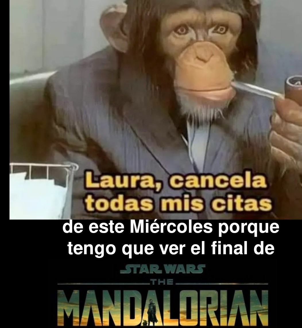 Javier Muñoz tweet media