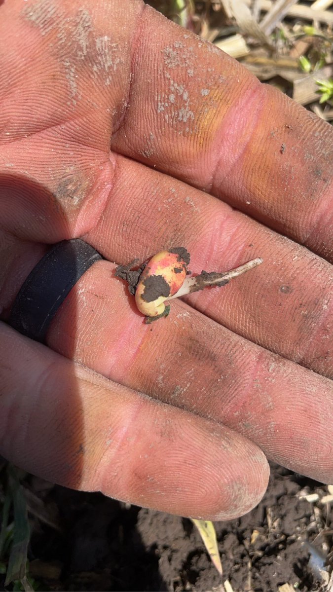 Andrew Reuschel tweet media