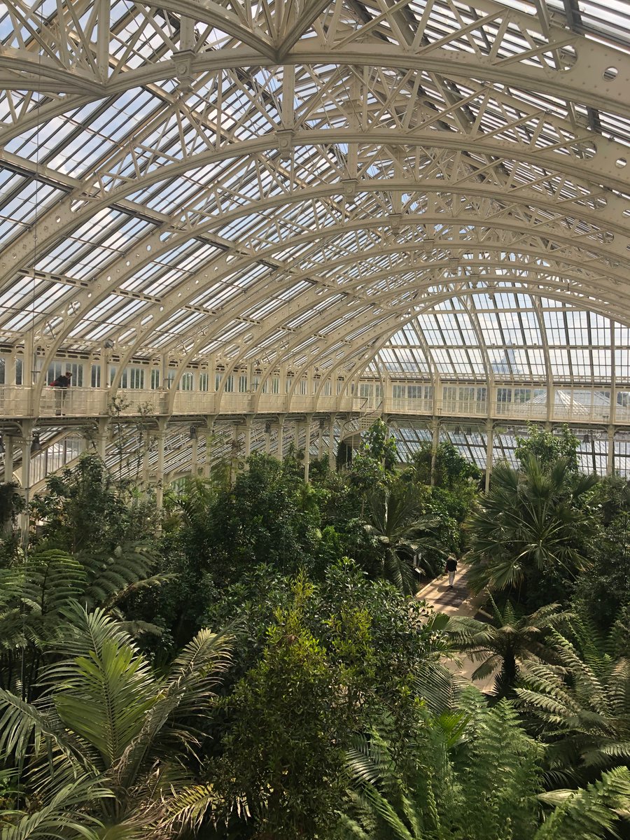 Aoife (@aoifekiernan00) on Twitter photo Had a great time in Kew with <a href="/tcdbotsoc/">TCD Botanical Society</a> ! Thanks to @evadreyer_ for organising 💚 Had a great time in Kew with <a href="/tcdbotsoc/">TCD Botanical Society</a> ! Thanks to @evadreyer_ for organising 💚