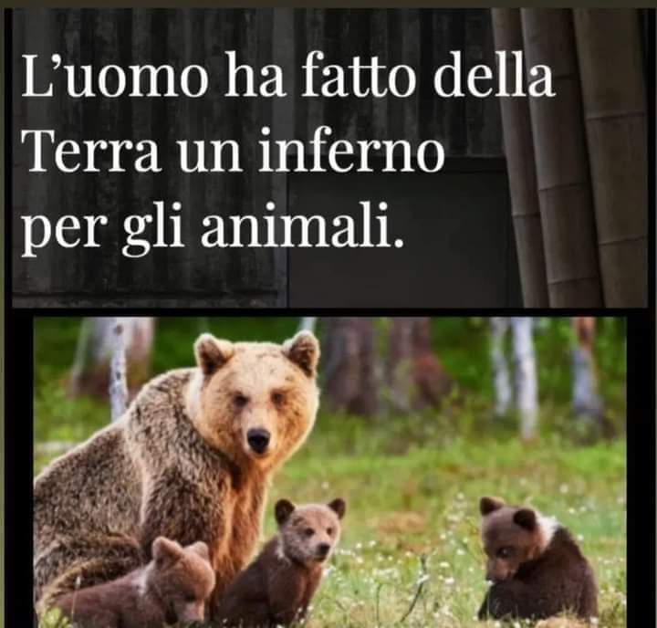 SsTino's tweet photo. https://t.co/HRgBEj6cjl