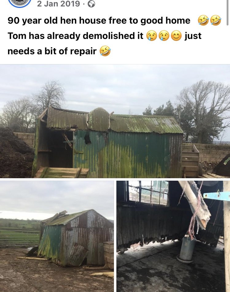 rattycastle's tweet photo. Popped up on memories 🤣🤣 #freerangehens https://t.co/ayHarm7weE