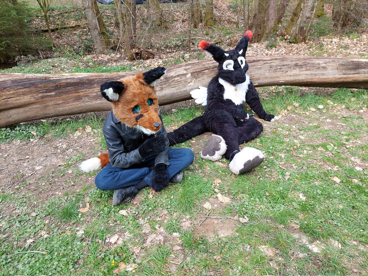 Kiko_Hellcat's tweet photo. Ein tolles Wochenende gehabt auf dem Furforest in Holzerath:)
(Foto Part 1)
#Furforest #Furforest2023 #Holzerath https://t.co/9AgdP4RbXA