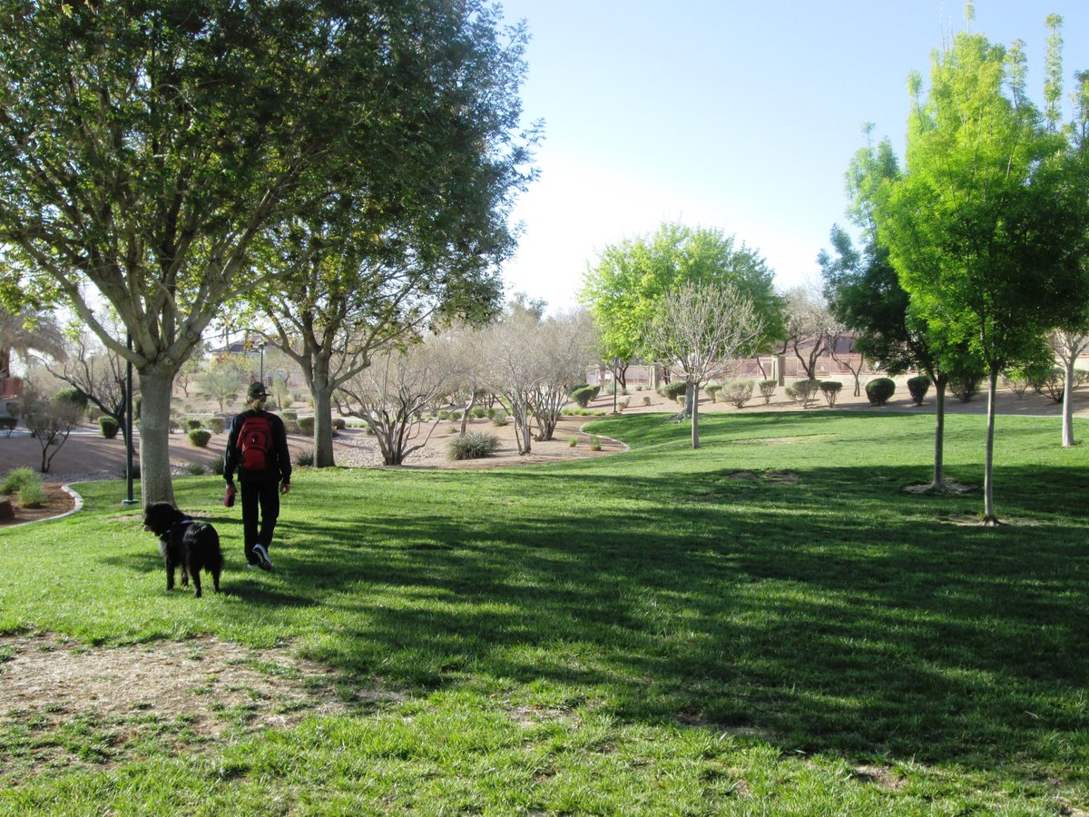 ElissaShakal's tweet photo. #Walking the #dog in beautiful #Summerlin #LasVegas.  The #desert can be quite lovely this time of year. https://t.co/AtwaMQPHAK