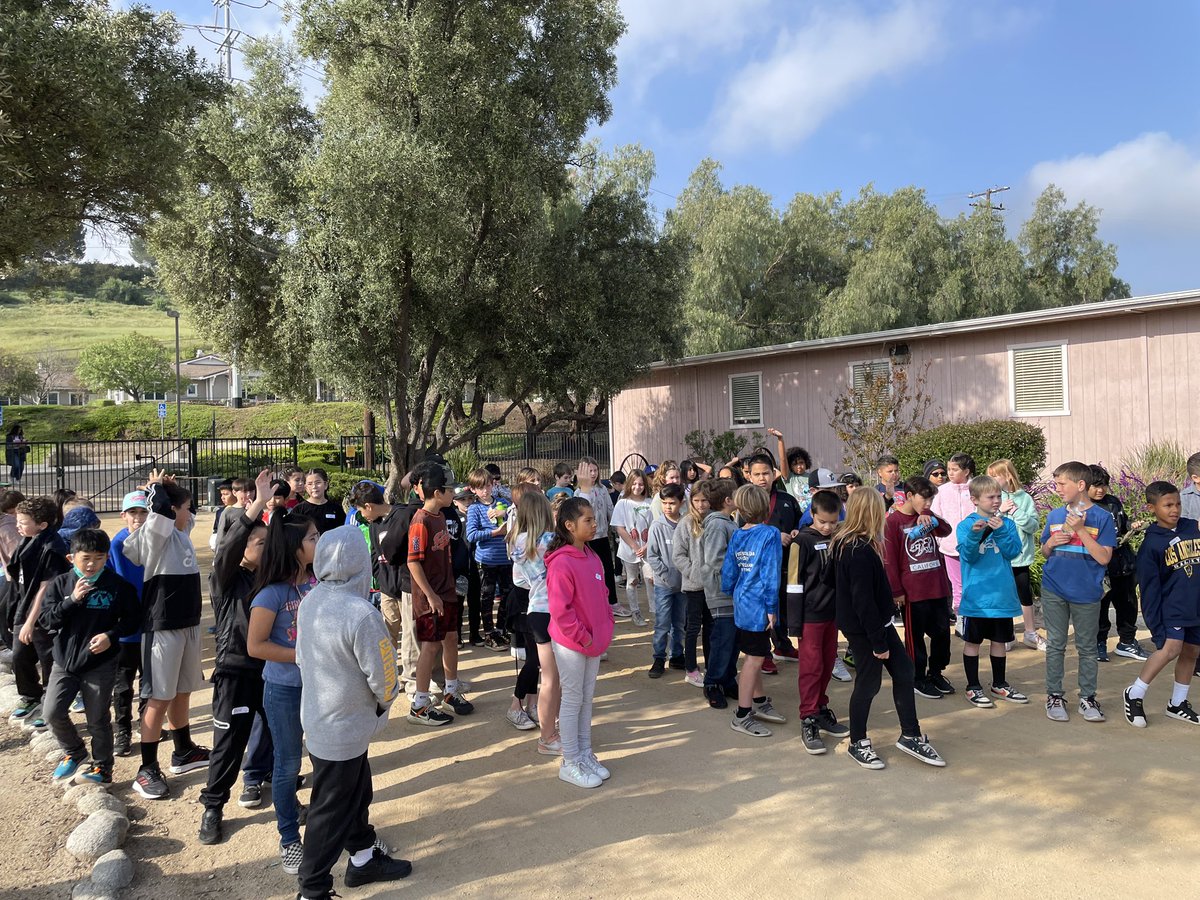 DavidsonMViT's tweet photo. Field trip to Strathearn Park #mvitsimi #simischools #thirdgraderocks https://t.co/w7ZEwpE423