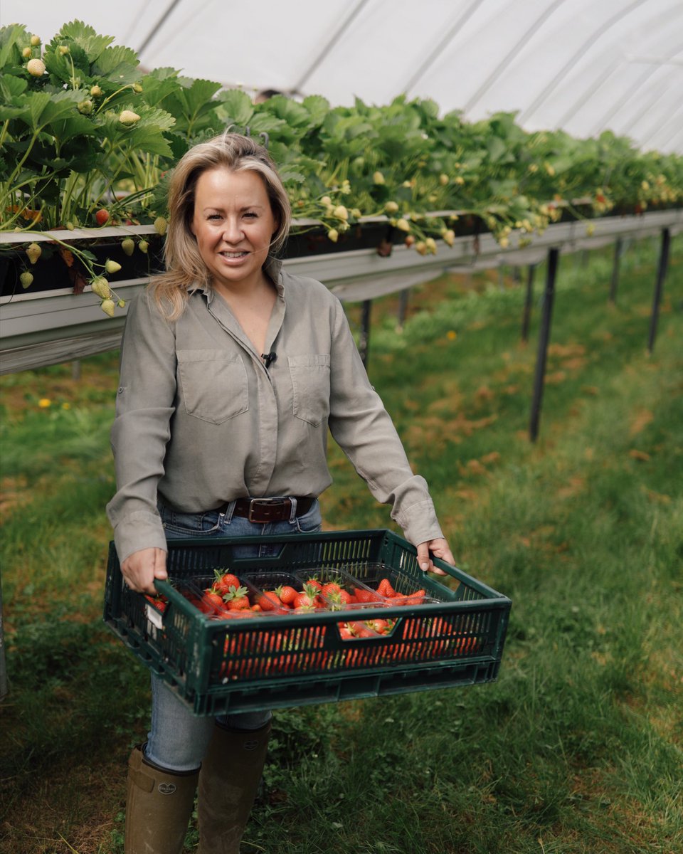 Annabel Makin-Jones (@adbstrawberries) on Twitter photo Make sure you're watching <a href="/ITV/">ITV</a> <a href="/GMB/">Good Morning Britain</a> tomorrow morning!
There will be some interesting conversations around the current UK food crisis that you won't want to miss!
#AnnabelsDeliciouslyBritish #BackBritishFarming #GoodMorningBritain #YorkshireFarm #BritishFarming #BiteIntoBritish Make sure you're watching <a href="/ITV/">ITV</a> <a href="/GMB/">Good Morning Britain</a> tomorrow morning!
There will be some interesting conversations around the current UK food crisis that you won't want to miss!
#AnnabelsDeliciouslyBritish #BackBritishFarming #GoodMorningBritain #YorkshireFarm #BritishFarming #BiteIntoBritish
