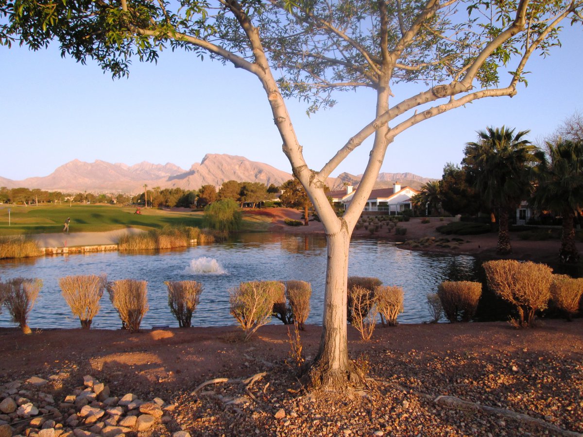 ElissaShakal's tweet photo. Beautiful Sun City #LasVegas in #SummerlinLV.  Lots of #golf courses and greenery.  We always love our morning #walks through here.  It's so #peaceful, very little traffic, and our Maggie meets lots of other dogs.  #exercise #morningwalk https://t.co/RwByxWIMyg