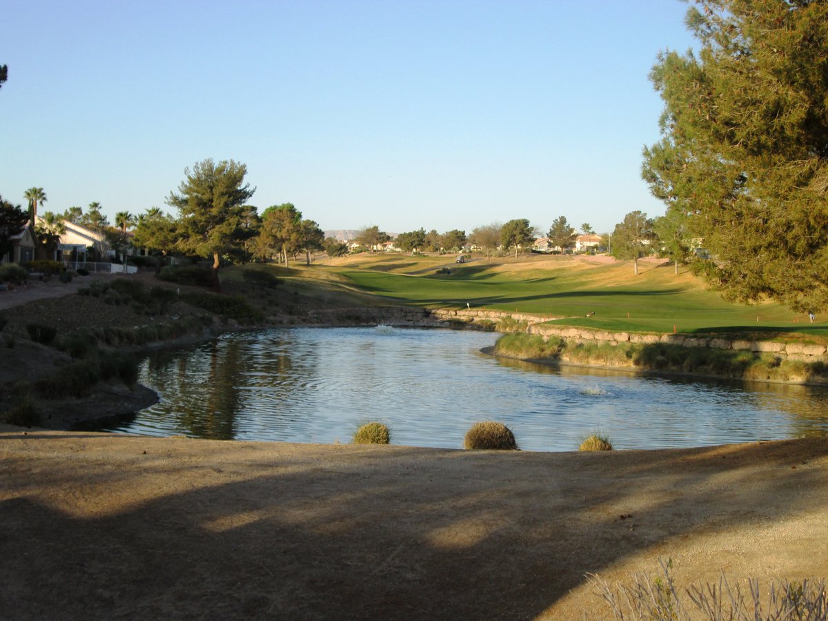 ElissaShakal's tweet photo. Beautiful Sun City #LasVegas in #SummerlinLV.  Lots of #golf courses and greenery.  We always love our morning #walks through here.  It's so #peaceful, very little traffic, and our Maggie meets lots of other dogs.  #exercise #morningwalk https://t.co/RwByxWIMyg