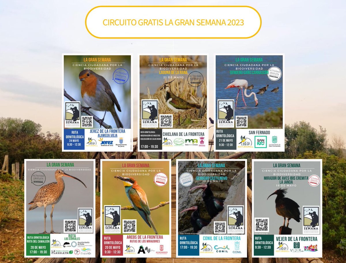 Aviturismoes's tweet photo. Ya te puedes registrar en la salidas en el siguiente enlace https://t.co/tcdCZWqsZZ de La Gran Semana.
#aviturismoes #birdwatching #ornitología #aves #observacionaves #francissilva #guiadeaves #guiaornitologico #pajaros #pajareo #birding #ebird #andalusiabird #birds https://t.co/GSo6B2fksg