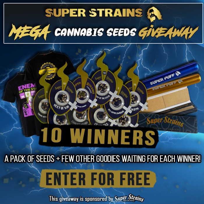 SeedCentre's tweet photo. Our generous friends from Super Strains were kind enough to sponsor this month's giveaway. Don't forget tp enter if you want to win one of these fantastic prizes!
ENTER FOR FREE: https://t.co/irHZGGT0QG
#londonseedcentre #cannabis #weedstagram #giveaway #superstrains https://t.co/R6cBNzqkeZ