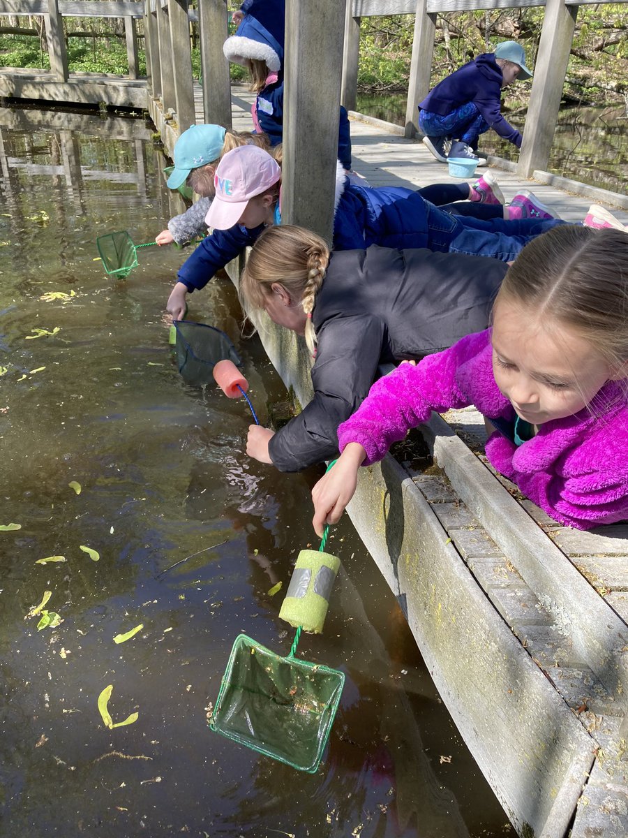 Fran Wilson tweet media