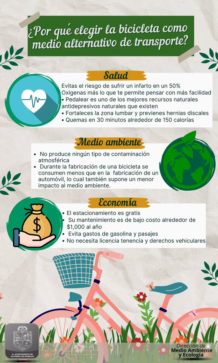 Dirección de Medio Ambiente y Ecología Ecatepec tweet media