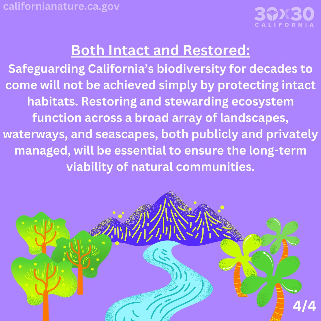 30x30CA's tweet photo. Learn more about #30x30CA!! 

🔎 This week’s question: 

🌄 What is a 30x30 Conservation Area? 

For more information and to join the 30x30 mailing list, check out ⬇️ https://t.co/B5h8j0CZv9 https://t.co/YxmaPzNb7n