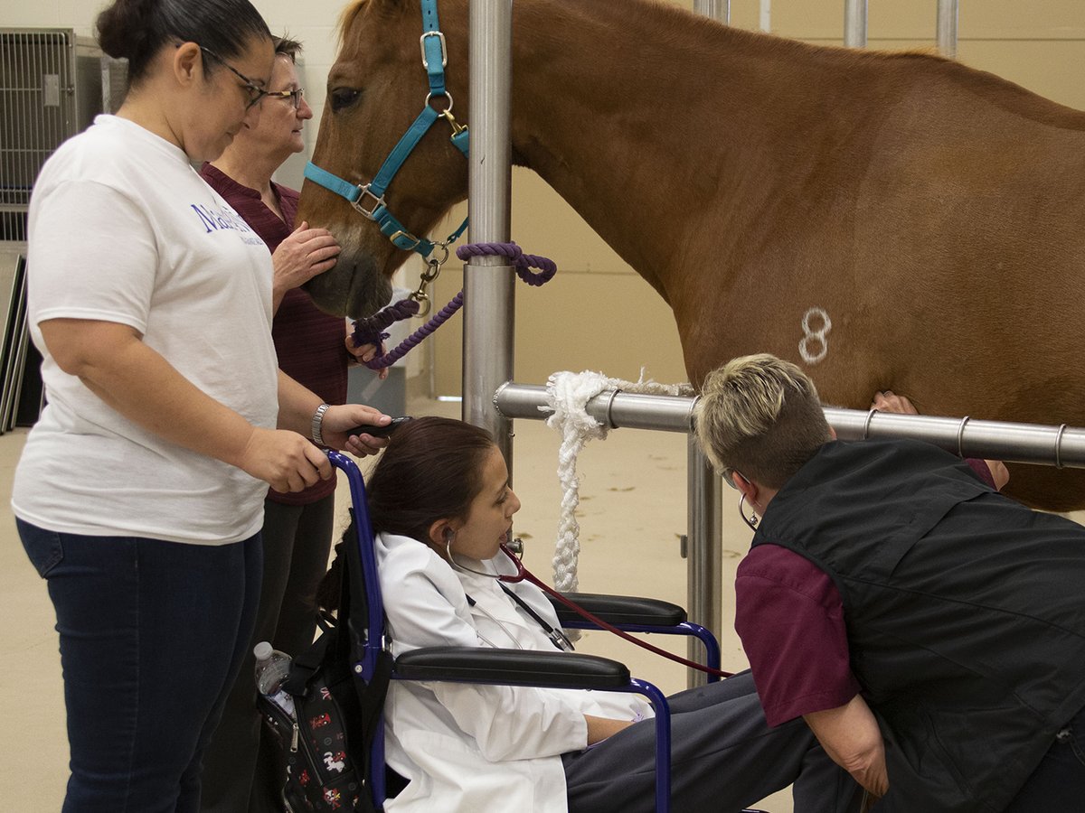 tamuvetmed's tweet photo. It was an honor and pleasure to spend last Friday hosting Gabby, a wish kid from the Rio Grande Valley, and providing her with an authentic Aggie veterinary school experience. We’re especially grateful to @mawtxla for helping coordinate Gabby’s visit.
#TAMUVetMed https://t.co/CjHvznBzER