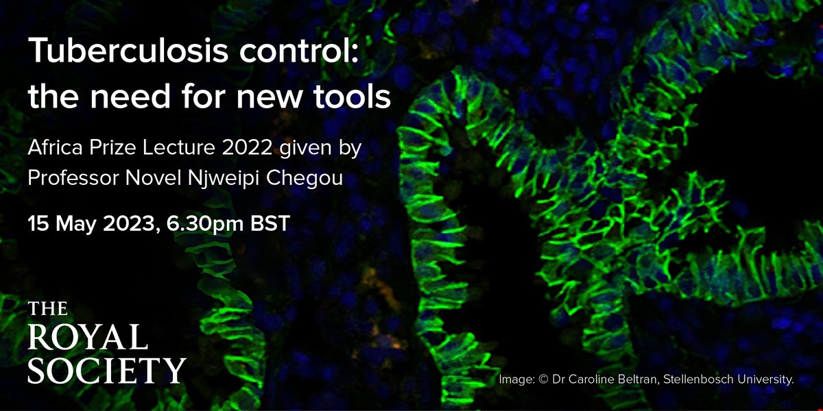 royalsociety's tweet photo. Tuberculosis has been affecting humanity for over 9000 years, and still ranks as a top single infectious killer today. Join Professor Novel Njweipi Chegou for on 15 May, as he explores the need for new tools to control this disease: https://t.co/aqX0kAJwZQ https://t.co/JVQgbD2D13