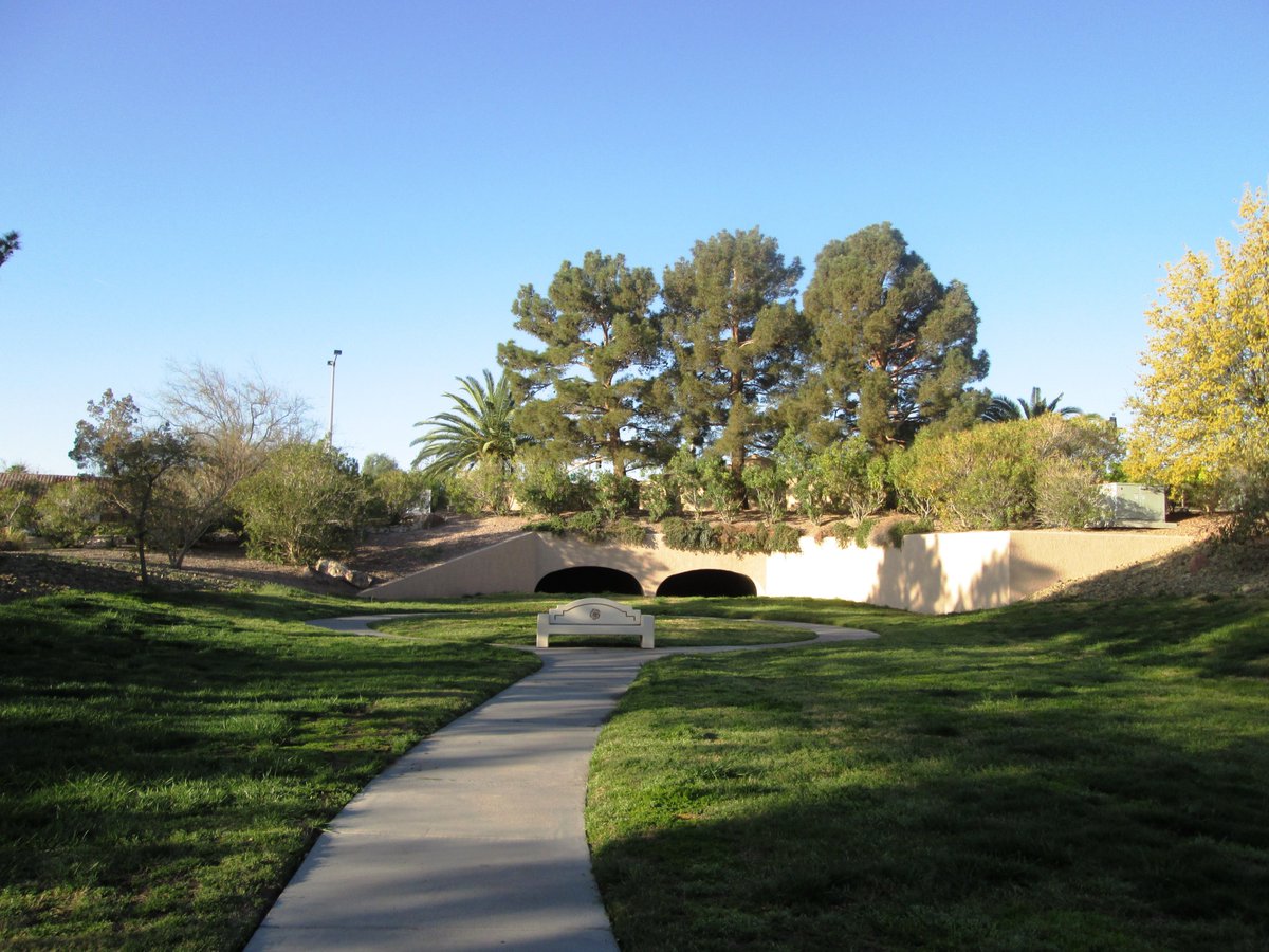 ElissaShakal's tweet photo. We always take the time to #explore our own neighborhood by getting out and #walking.  Getting out and walking helps us to slow down and see and feel everything with all of our senses.  #desert #LasVegas #MasterPlannedCommunity https://t.co/NbFcGstvUw