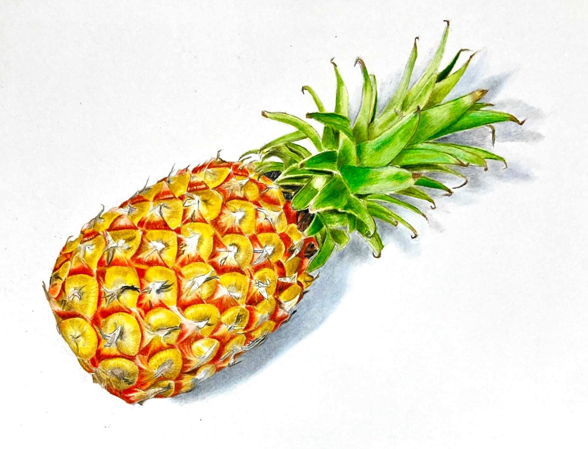 「色鉛筆で描いたパイナップル#パイナップル #アナログ絵 」|石川@色鉛筆のイラスト