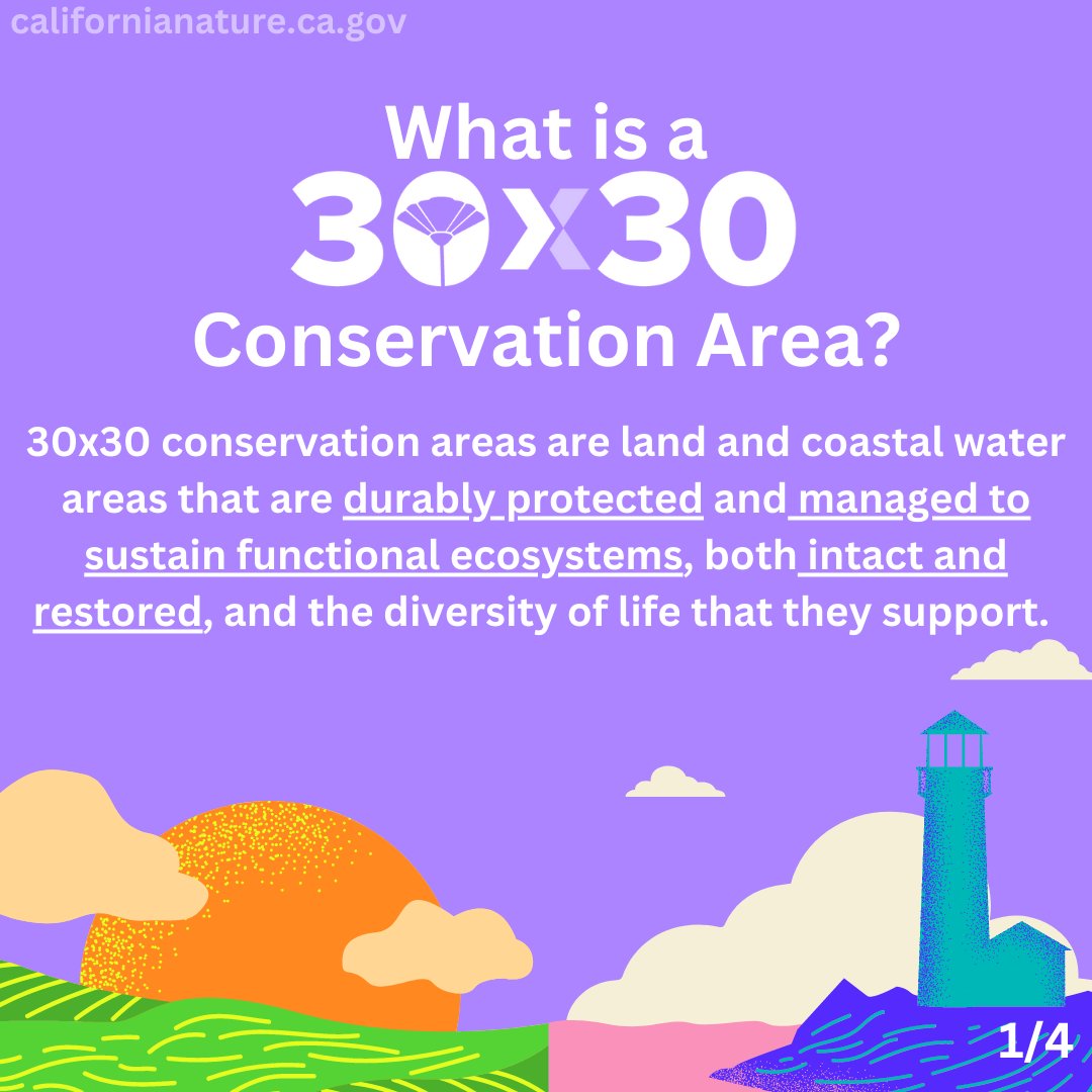 30x30CA's tweet photo. Learn more about #30x30CA!! 

🔎 This week’s question: 

🌄 What is a 30x30 Conservation Area? 

For more information and to join the 30x30 mailing list, check out ⬇️ https://t.co/B5h8j0CZv9 https://t.co/YxmaPzNb7n