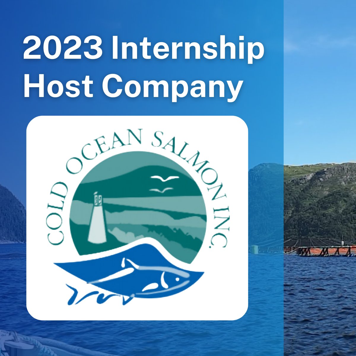 Cold Ocean Salmon in St. Alban's is onboard as a host for our 2023 summer high-school internship program!  100% funded six-week on-site placements.  July 10 - August 18 2023.
Find out more and complete your internship application:
oceancareersnl.net/programs/summe…