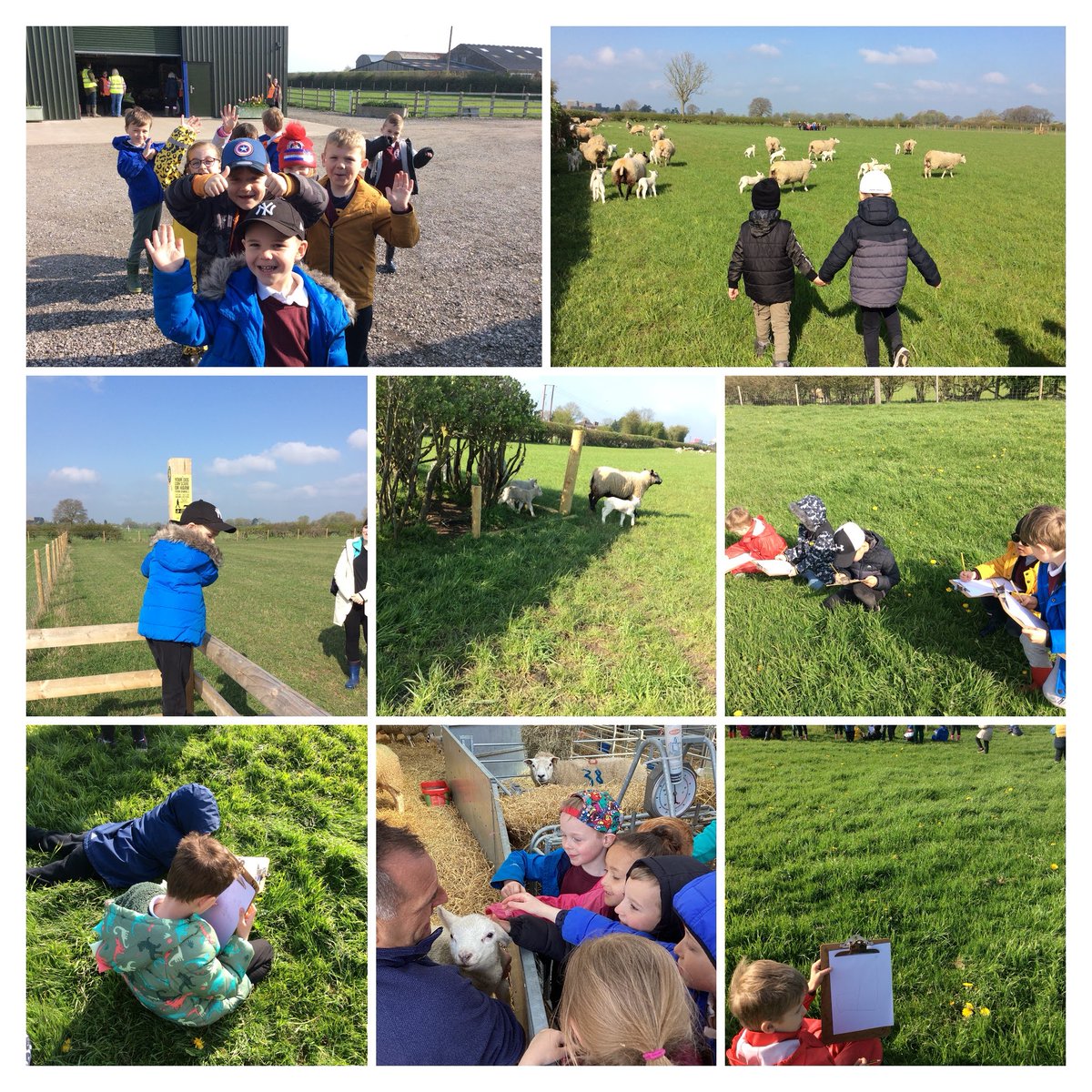 JORPS_1's tweet photo. #JORYear1 had the most amazing day at #Marstonfarmrurallearning; we've been exploring, climbing stiles, sketching, learning about animal husbandry and we even saw a lamb being born! #JORengageandenjoy #JORshareandsupport https://t.co/JvBNpfV0Ke