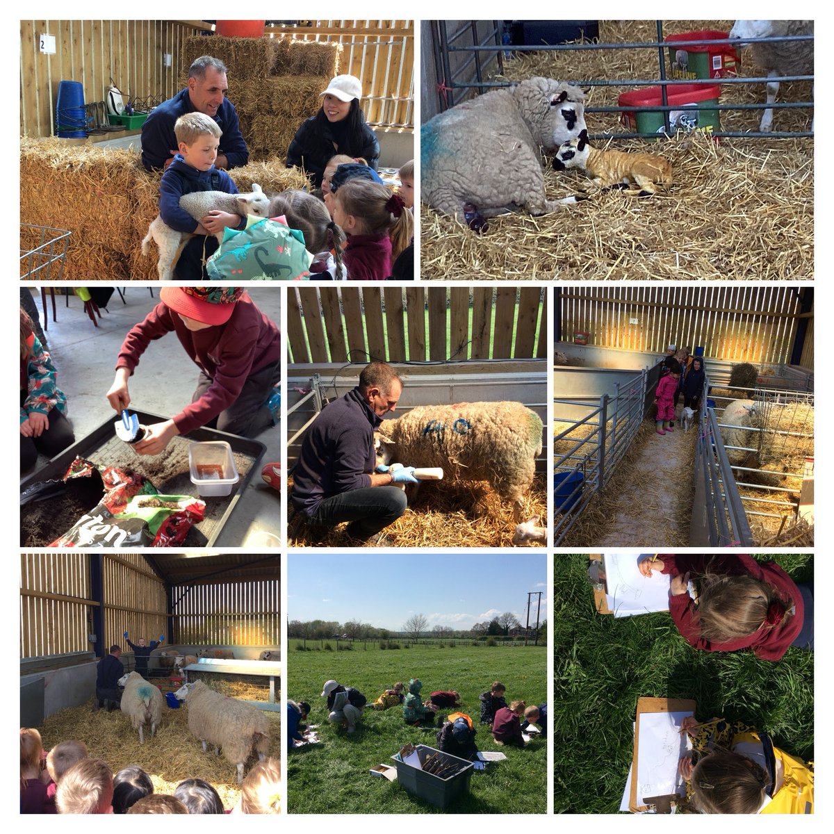 JORPS_1's tweet photo. #JORYear1 had the most amazing day at #Marstonfarmrurallearning; we've been exploring, climbing stiles, sketching, learning about animal husbandry and we even saw a lamb being born! #JORengageandenjoy #JORshareandsupport https://t.co/JvBNpfV0Ke