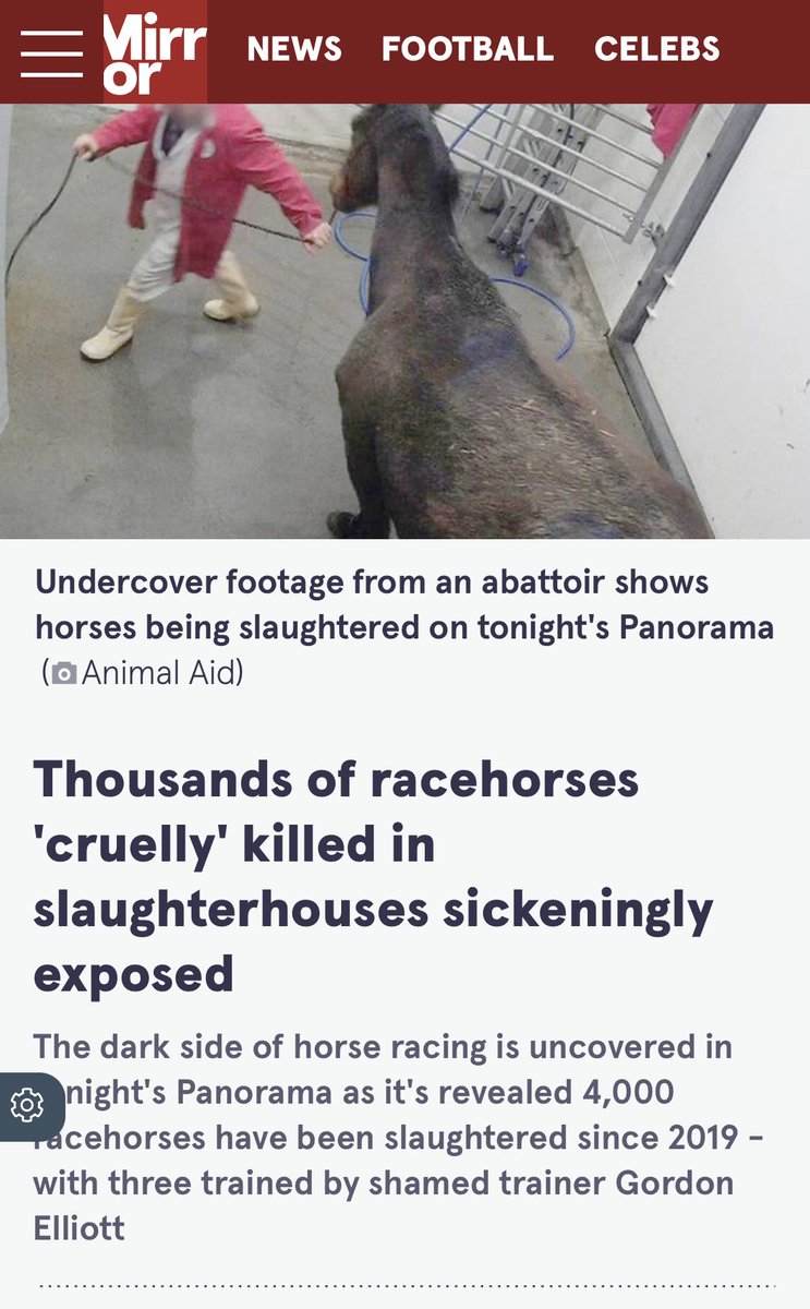 domdyer70's tweet photo. Race horses are still being slaughtered every day in Britain they just now end up as pet food rather than entering human food chain. So much for welfare coming first #GrandNationalDisgrace https://t.co/3HsDmhE1wq