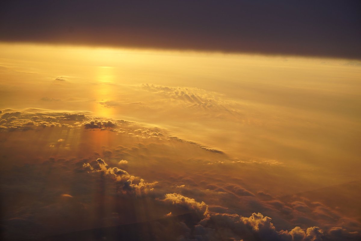 therealSIR3's tweet image. #Butterscotch skies were the first sign of the end, leaving the sun a muted rust-coloured ball in the sky looking down on us in disapproval. We had done it, after all. We deserved it.

I don't want to live like this anyway.

Goodbye, blue sky...
I guess we're gonna die.

#vss365