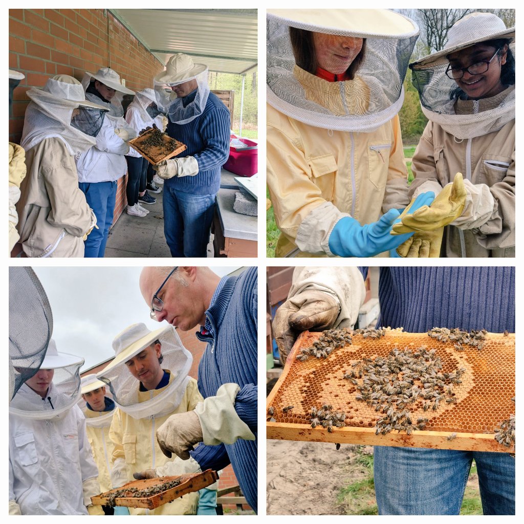 GerLyons6's tweet photo. Day 2 of @stbrigids_LR @EUErasmusPlus Exchange to 🇩🇪 was varied &amp; exciting!The beekeeping workshop was amazing🐝 ,followed by a class on local regional dialect Plattdeutsch! German classes were the order of mid morning followed by an afternoon of Handball! @Leargas @GRETBOfficial https://t.co/eAN9xV6sfS