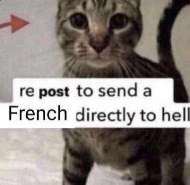 EverythingOOC's tweet image. 